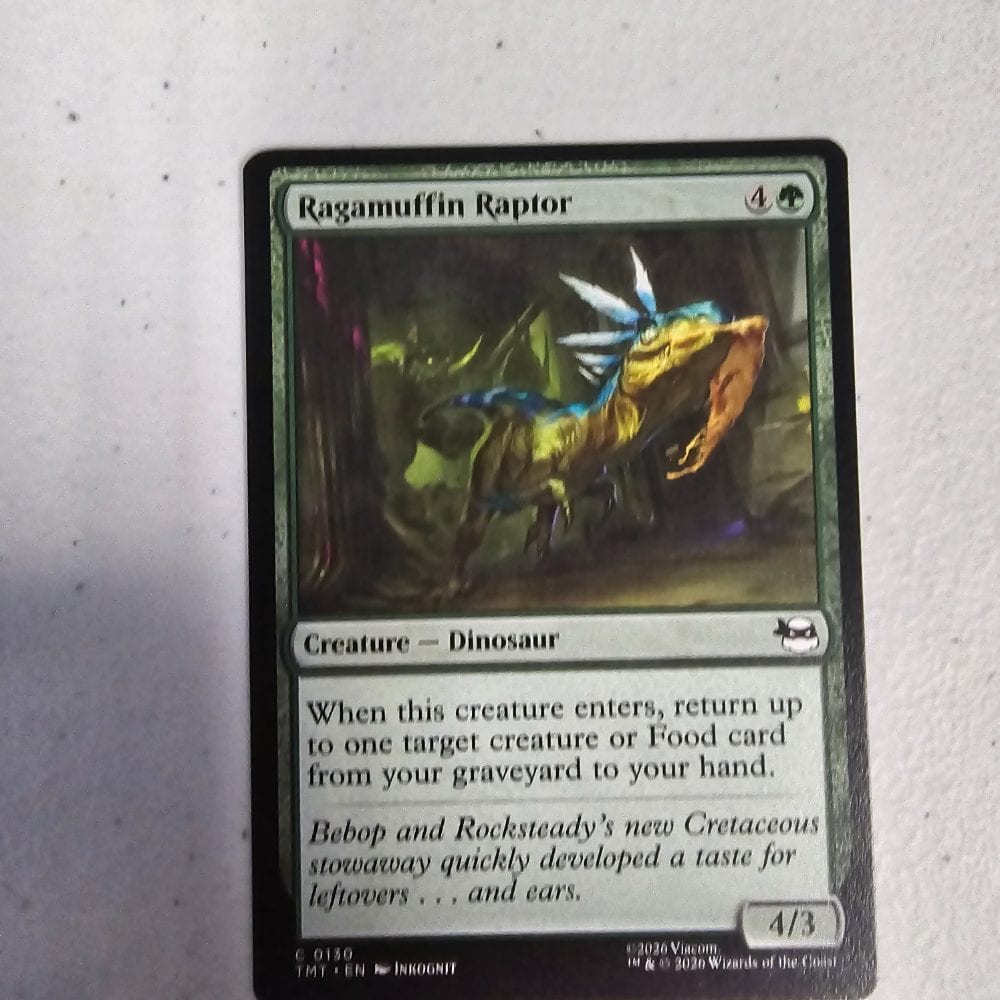 Ragamuffin Raptor